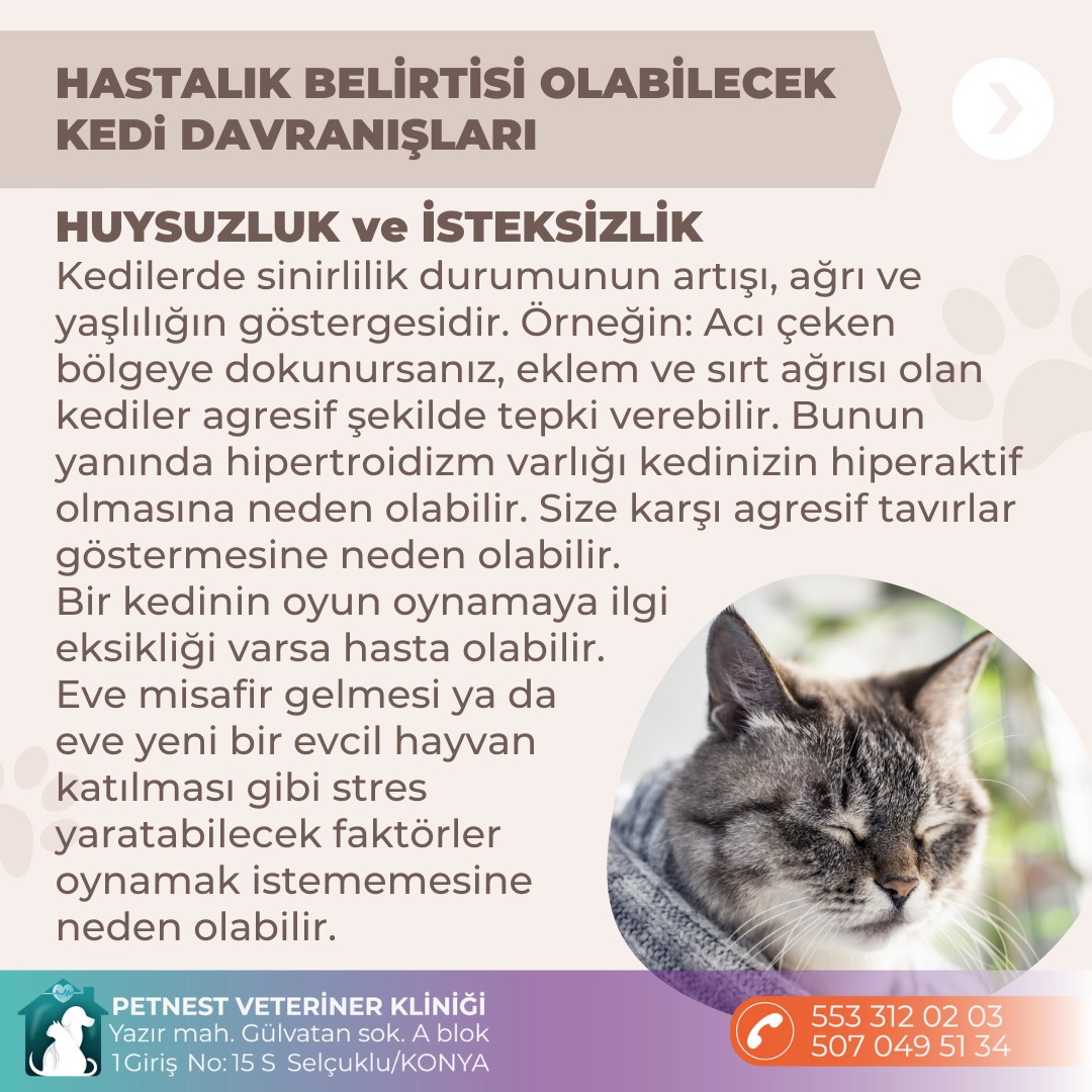 Hizmet Galerisi