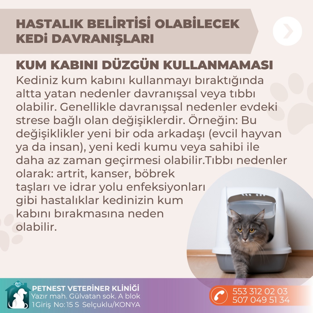 Hizmet Galerisi