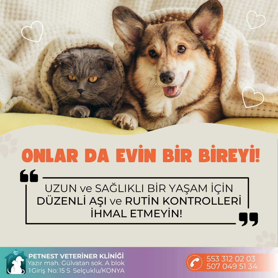 EVCİL DOSTLARIMIZDA AŞILAMA VE RUTİN KONTROLÜN ÖNEMİ